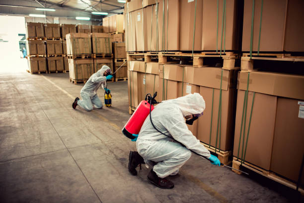 Best Emergency Pest Control  in Mount Healthy Heights, OH