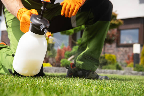Trusted Mount Healthy Heights, OH Pest Control Experts