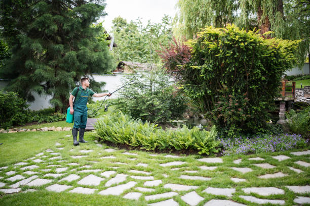 Best Best Pest Control Companies  in Mount Healthy Heights, OH