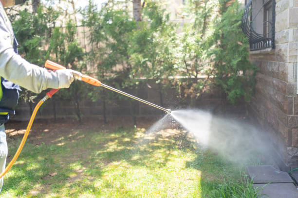 Best Mosquito Control Services  in Mount Healthy Heights, OH