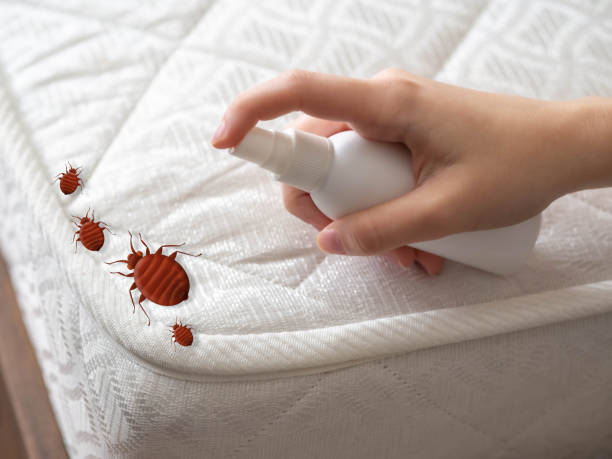 Best Pest Prevention Services  in Mount Healthy Heights, OH
